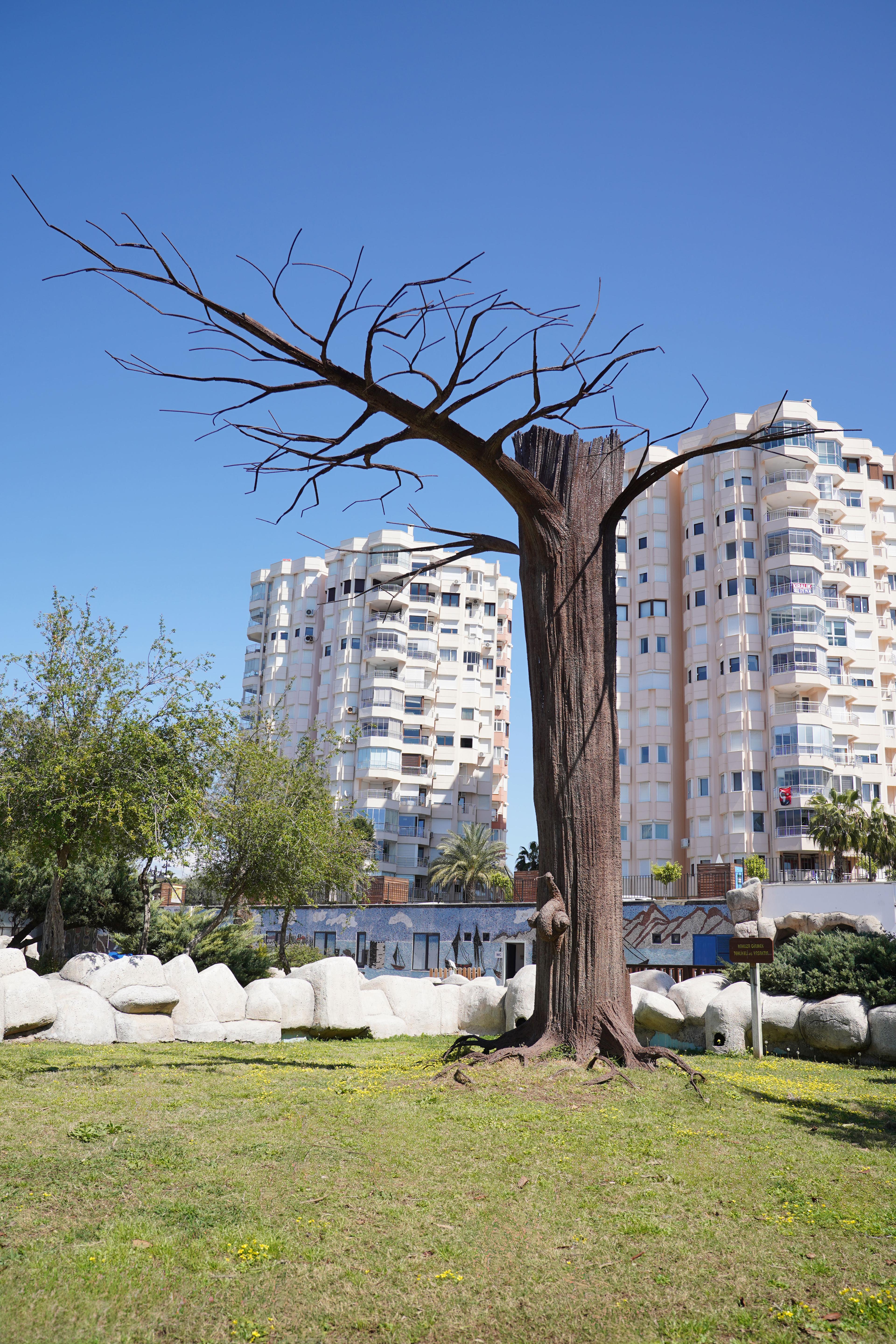 İsimsiz- Ağaç